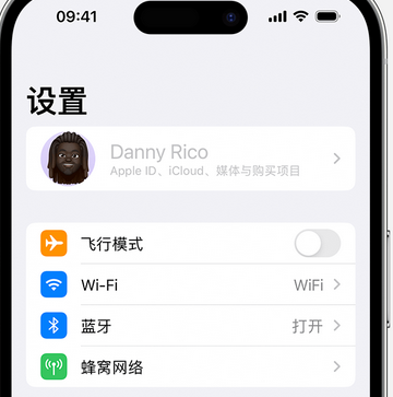 利川appleID维修服务iPhone设置中Apple ID显示为灰色无法使用 