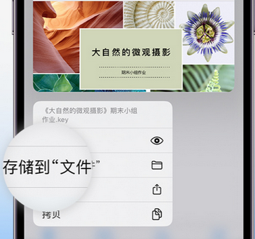 利川apple维修中心分享iPhone文件应用中存储和找到下载文件