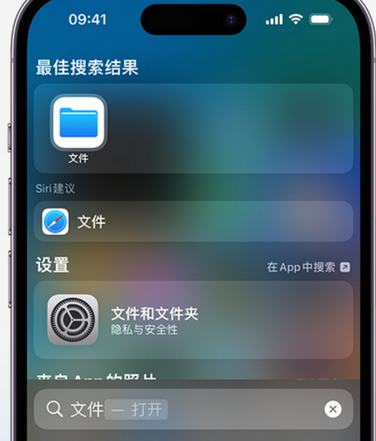 利川apple维修中心分享iPhone文件应用中存储和找到下载文件 