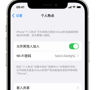 利川apple服务站点分享iPhone上个人热点丢失了怎么办 