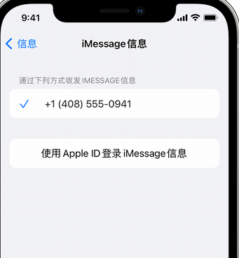 利川apple维修iPhone上无法正常发送iMessage信息 