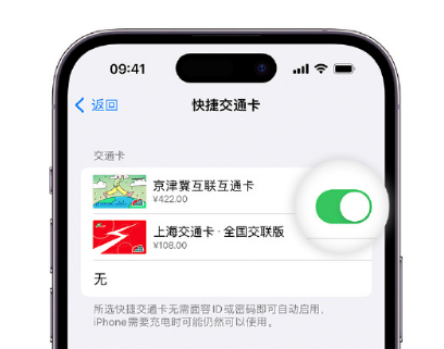 利川apple维修点分享iPhone上更换Apple Pay快捷交通卡手绘卡面 