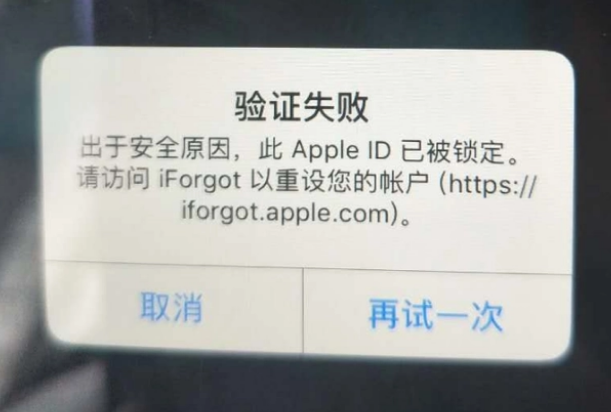 利川iPhone维修分享iPhone上正常登录或使用AppleID怎么办 