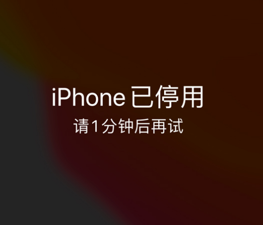 利川苹果手机维修分享:iPhone 显示“不可用”或“已停用”怎么办？还能保留数据吗？ 