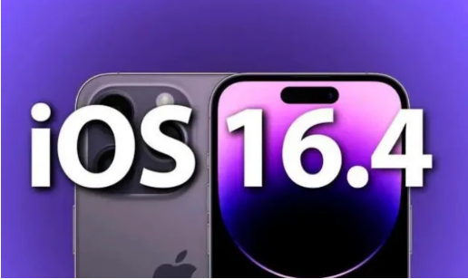 利川苹果14维修分享：iPhone14可以升级iOS16.4beta2吗？ 