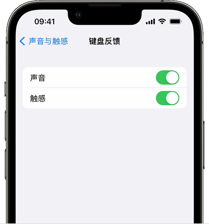 利川苹果14维修店分享如何在 iPhone 14 机型中使用触感键盘 