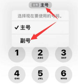 利川苹果14维修店分享iPhone 14 Pro Max使用副卡打电话的方法 