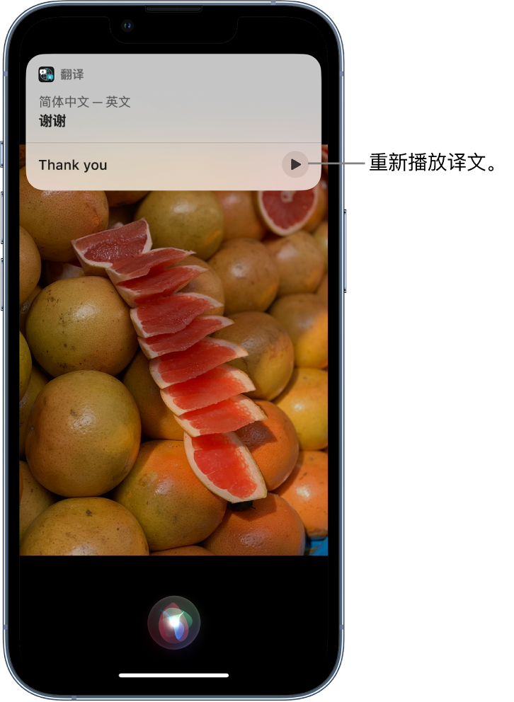 利川苹果14维修分享 iPhone 14 机型中使用 Siri：了解 Siri 能帮你做什么 