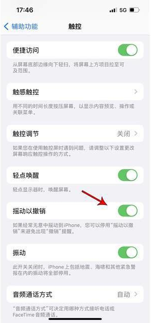 利川苹果手机维修分享iPhone手机如何设置摇一摇删除文字 