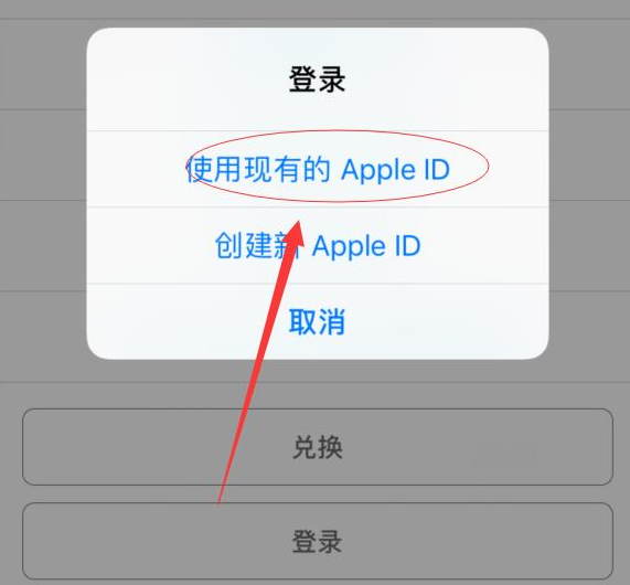 利川苹果手机维修分享两台iPhone设备可以同时登录一个Apple ID吗 