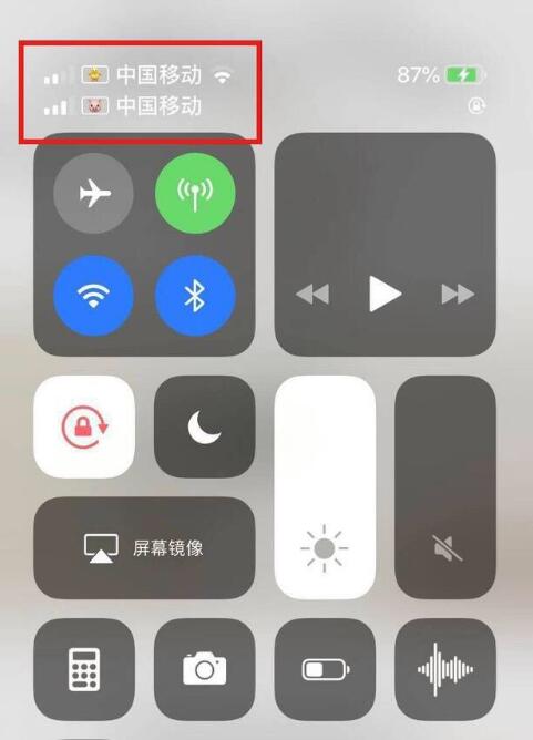 利川苹果手机维修分享为 iPhone 12 双卡设置标签 