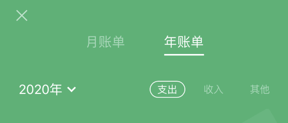 利川苹果手机维修分享如何在 iPhone 上查看支付宝和微信年支出账单 